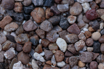 pebbles on the beach