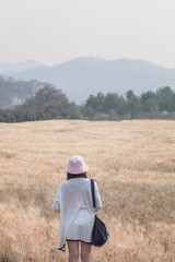 A young woman enjoying the summer over the golden barley field in the morning alone to see the beautiful view of the barley field in Singha Park, Chiang Rai. Summer travel alone concept