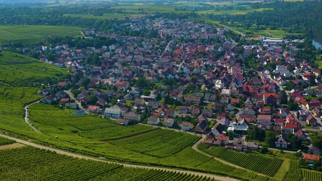 Aerial view of Vineyards close to city Mundelsheim in Germany. 