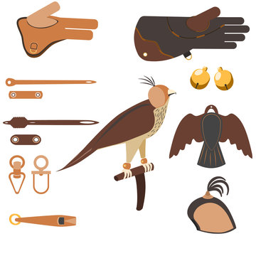 Set of equipment for falcons and falcons hunts.