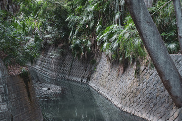 都会のジャングル