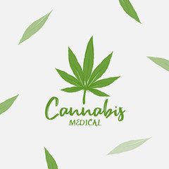 Marijuana , cannabis leaf vector illustration ,natural essence oil 