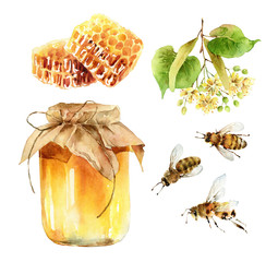 Watercolor honey set of design elements on white background - 334653163