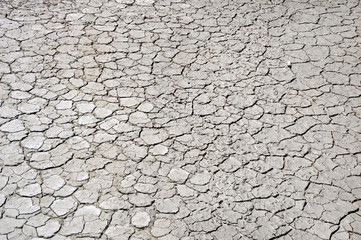 Dry land and cracked ground. Climate change and global warming. Ecological catastrophe