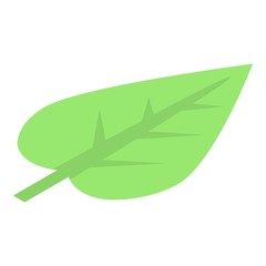 Matcha tea leaf icon. Isometric of matcha tea leaf vector icon for web design isolated on white background