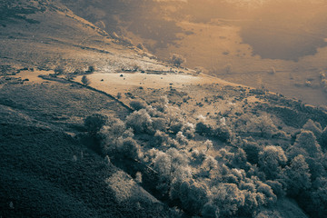 Hillside with woodland and farmland meadow in morning sunshine.  With colour toning