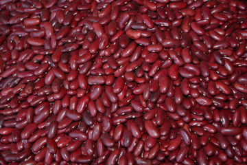 Kidney bean, Red kidney bean