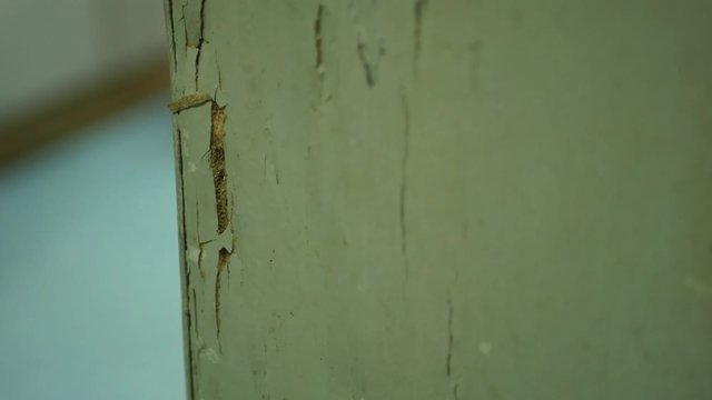 Close-up view of the termites damage on house wooden column