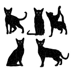 Animal Wildlife Abbysian Cat Silhouette Set Ver2