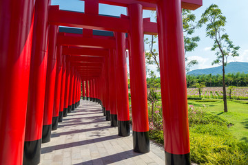 Red torii gate tunnel in Japanese zen garden with blue sky background in sunny day. Little Japan town famous destination in Chiang mai Thailand.