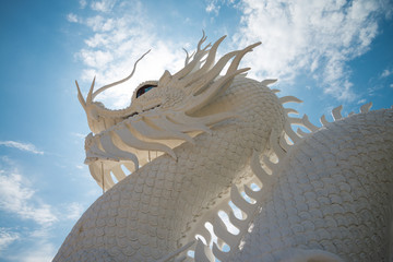 Beautiful detail of white painting east asian dragon or Chinese dragon statue sculpture in Chinese temple in Chiangrai Thailand with blue sky background.
