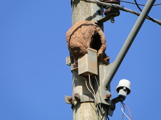 Casa Jo&atilde;o de Barro