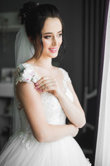 Fototapeta premium Gorgeous bride in robe posing and preparing for the wedding ceremony face in a room