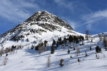 Staller Sattel, verschneit, zugeschneit, Osttirol, Tirol, Winter, Jahreszeit, Schnee, Eis, Schneedecke, Wald, Alpen, Villgrater Berge, Defereggen, Deferegger Alpen, Grenze, Österreich, Italien, Südtir