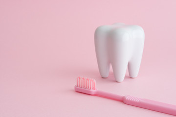 White tooth model and pink dental toothbrush on pink background with copy space. Dental care and...
