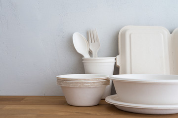 Natural eco-friendly disposable utensils (fork, spoon, dish plate, bowl, cup and fast food box...