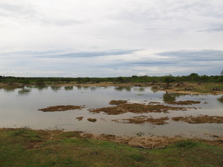 The landscape in Yala National park, Sri Lanka
