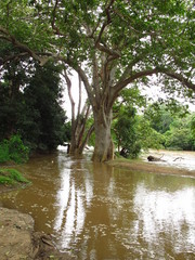 The river in Yala National park, Sri Lanka