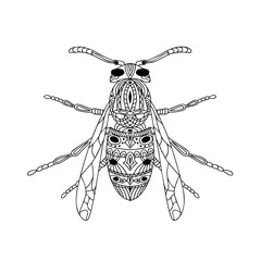 Antistress coloring page. Insect wasp. Isolated on white background. Doodle vector illustration