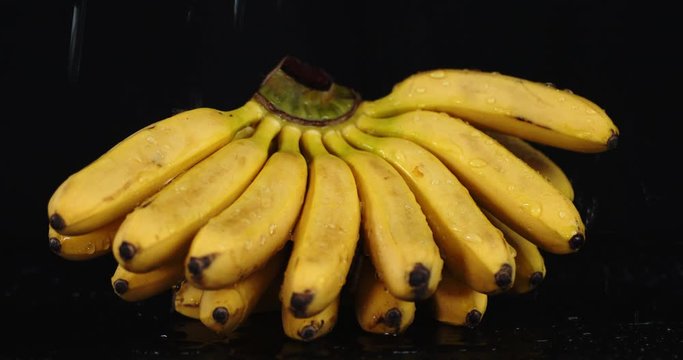 Fresh ripe bananas falling water drops.