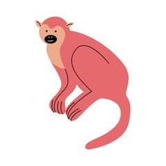 Big strong red monkey with long tale vector illustration