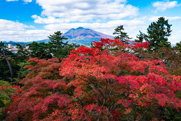 紅葉の青森