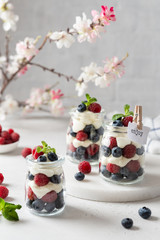Healthy blueberry and raspberry parfait in mason jars on a white concrete background. Summer, spring dessert. Side view. Recipe, menu