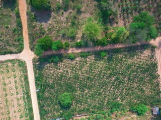 UAV drone photography top view countryside farm thailand forest tree 