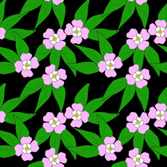 seamless floral pattern