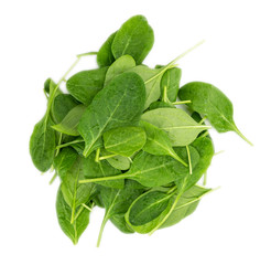 Fresh Spinach isolated on white