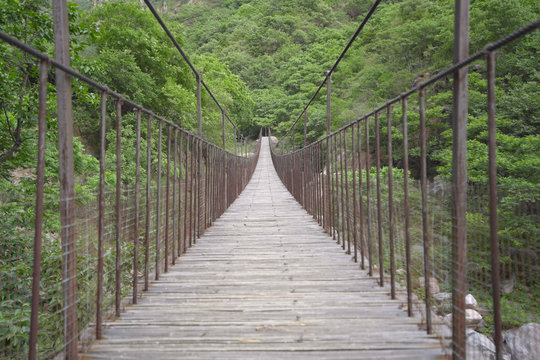 Fototapeta Rope bridge in the green forest in mountain