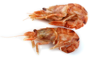 Argis lar (kuro shrimp, Northern Argid). Pacific shrimp