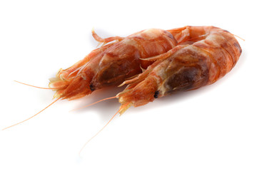 Argis lar (kuro shrimp, Northern Argid). Pacific shrimp