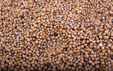 Mustard seeds background. Macro. Agriculture