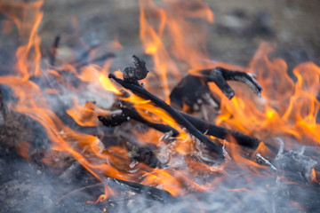trash burns in the yard
