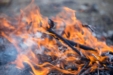 trash burns in the yard