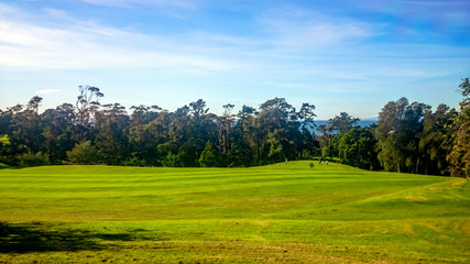 People playing in a golf field