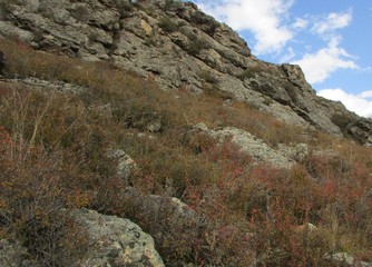 view of mountains