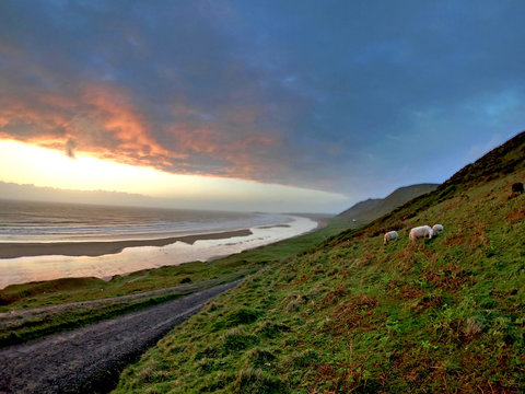 Welch Coast, Llangennith, view from Rhossili