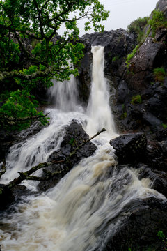 Nice natural and wild spot in Mull island, one of the main isles in the inner Hebrides in Scotland. Here a little waterfall surrounded by green trees and brack rocks