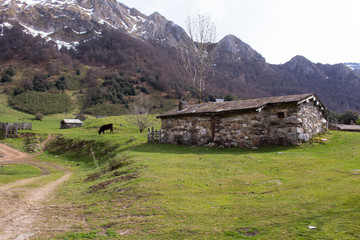 cabaña de piedra junto al camino de tierra