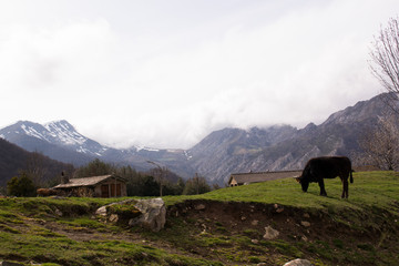 paisaje montañoso con una vaca y cabañas al fondo