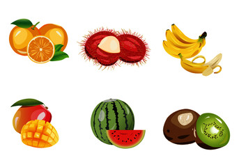 Vector collection Mixed fruit Consisting of Oranges,Mango,Banana,Watermelon Kiwi,Rambutan,Colorful White Background Vector illustration