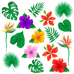 Set of tropical flowers and leaves. Isolated vector illustration on a white background.