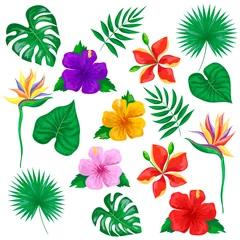 Naadloos Fotobehang Airtex Tropische planten Set van tropische bloemen en bladeren. Geïsoleerde vectorillustratie op een witte achtergrond.