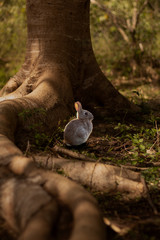 La naturaleza es un regalo 