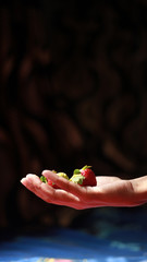 Strawberry in hand, Flying strawberry in dark background,