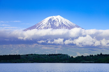 Naklejka na ściany i meble 田貫湖から眺める富士山、静岡県富士宮市にて