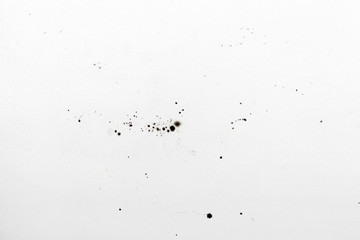 Mold on white wall texture or background. Mold growth on white surface