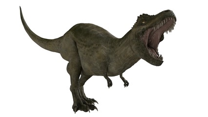 Obraz na płótnie Canvas 3d rendered t-rex tyrannosaurus rex